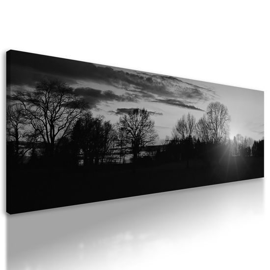 Obraz západ slnka nad malebnou krajinkou v čiernobielom prevedení