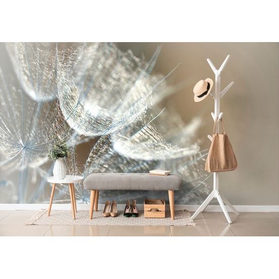 Samolepiaca tapeta makro záber púpavy