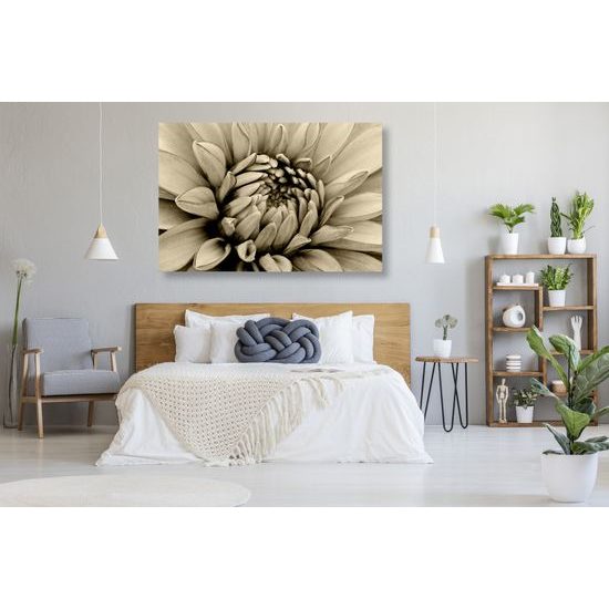Obraz perfektný detail na kvet dálie v sépiovom prevedení