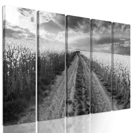 5-dielny obraz cesta v strede poľa v čiernobielom prevedení