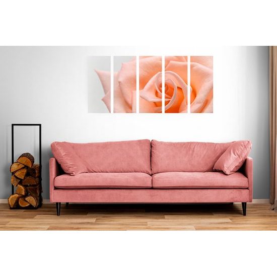 5-dielny obraz precízny detail na oranžovú ružu