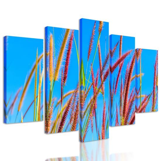 5-dielny obraz lúka pod šírim nebom