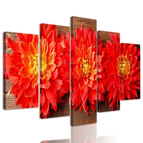 5-dielny obraz kvety nežnej dálie na drevenom pozadí
