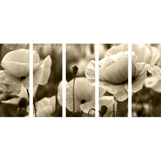 5-dielny obraz jedinečné divé maky v sépiovom prevedení