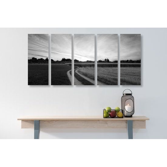5-dielny obraz zapadajúce slnko nad krajinou v čiernobielom prevedení