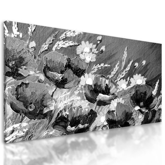Obraz maľované maky na lúke v čiernobielom prevedení