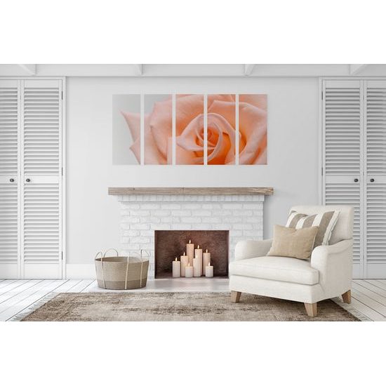 5-dielny obraz precízny detail na oranžovú ružu