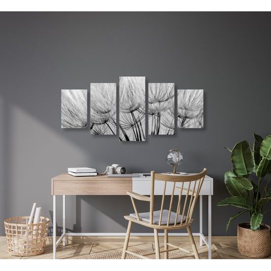 5-dielny obraz presný detail púpavy v čiernobielom prevedení