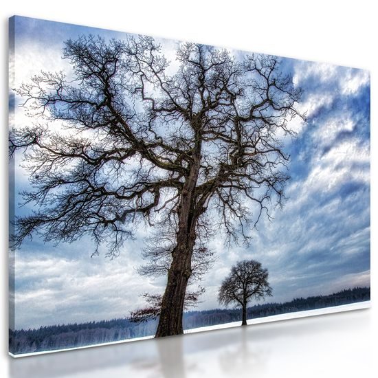 Obraz krajina zapadnutá snehom