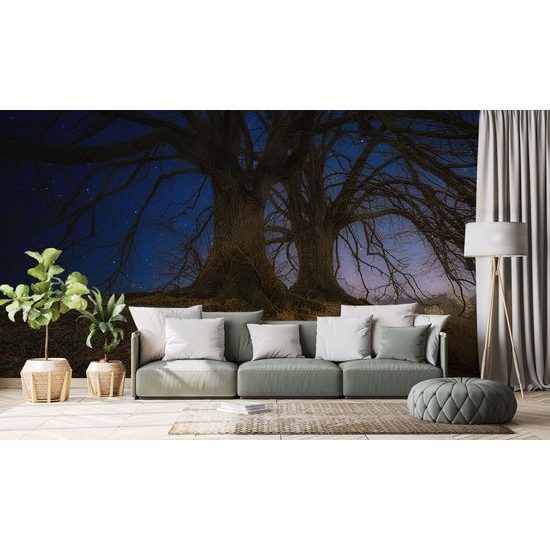 Samolepiaca tapeta stromy s nočnou oblohou