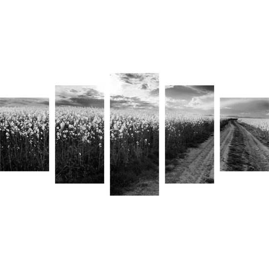 5-dielny obraz nádherná cestička v strede poľa v čiernobielom prevedení