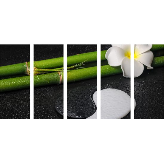 5-dielny obraz bambusové zátišie so symbolom Jin a Jang