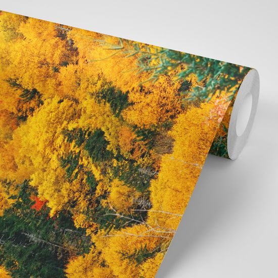 Nádherná samolepiaca fototapeta príroda v jesenných farbách