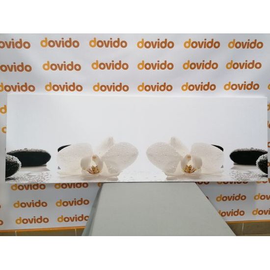 Obraz kvety orchidey v jemnom prevedení