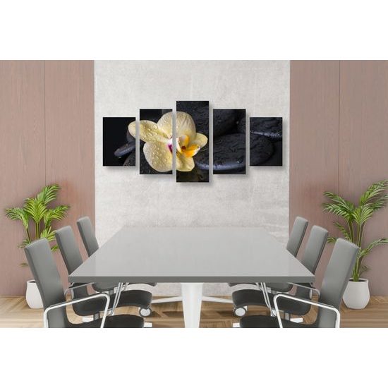 5-dielny obraz lávové kamene a zaujímavá orchidea