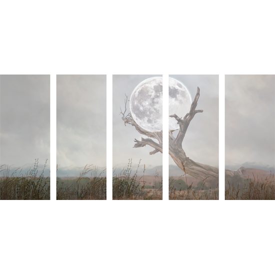 5-dielny obraz magický mesiac v objatí prírody