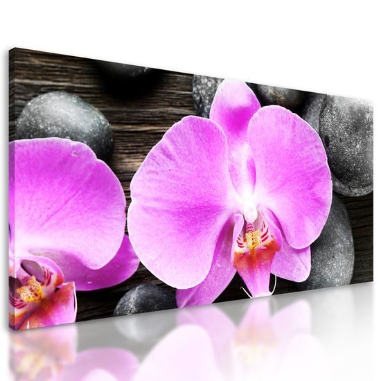 Obraz orchidea a Zen kamene na drevenom pozadí