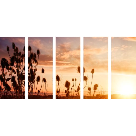 5-dielny obraz nádherný západ slnka za steblami trávy