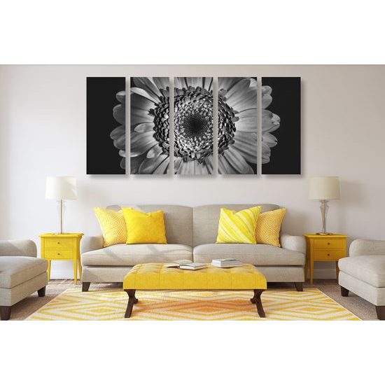 5-dielny obraz detail gerbery v čiernobielom prevedení