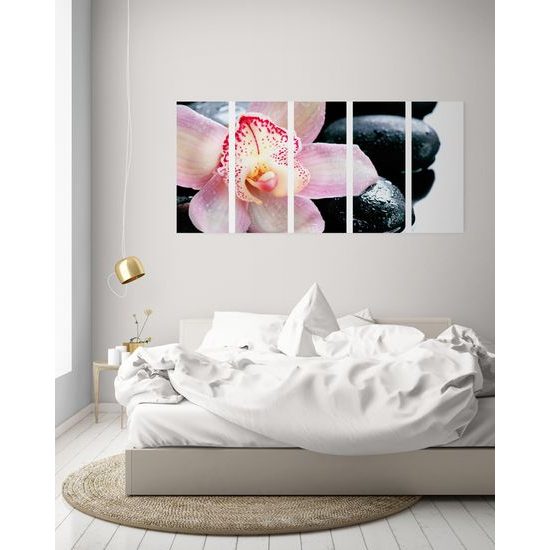 5-dielny obraz ružový kvet orchidei
