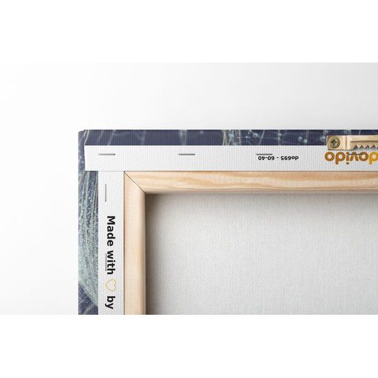 Obraz detail púpavy