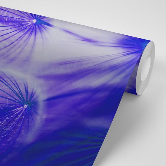 Zaujímavá samolepiaca fototapeta fialová púpava