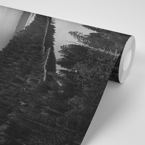 Samolepiaca fototapeta príroda po západe slnka v čiernobielom prevedení