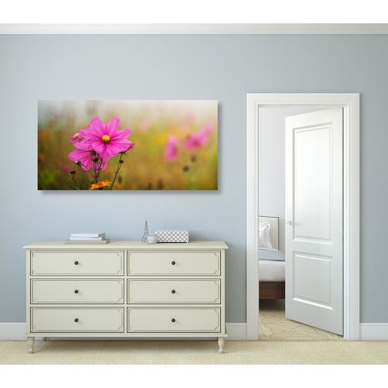 Obraz kvitnúce lúčne kvety