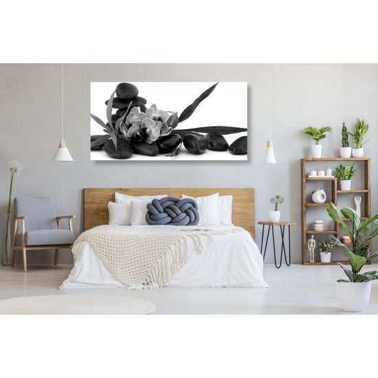 Obraz čiernobiely kvet orchidei v SPA zátiší