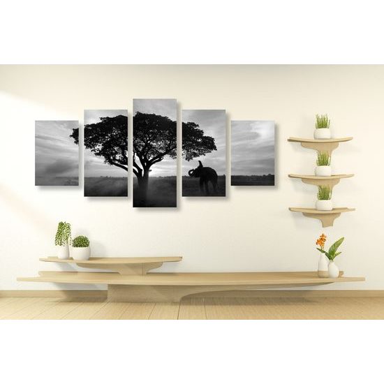 5-dielny obraz obraz nádherný slon v čiernobielom prevedení