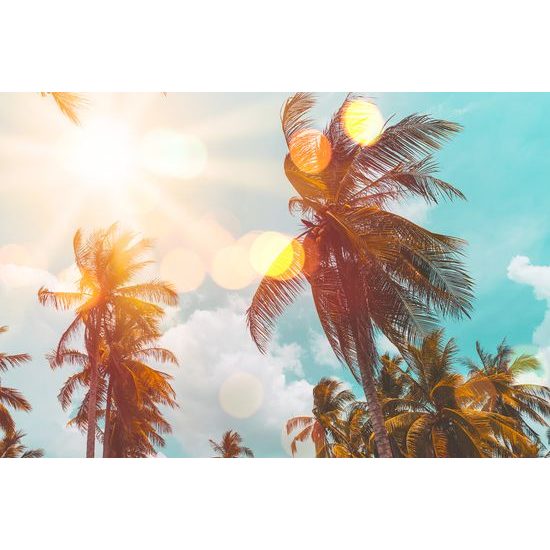 Obraz slnko predierajúce sa ponad palmy