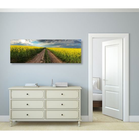 Obraz cesta v strede poľa