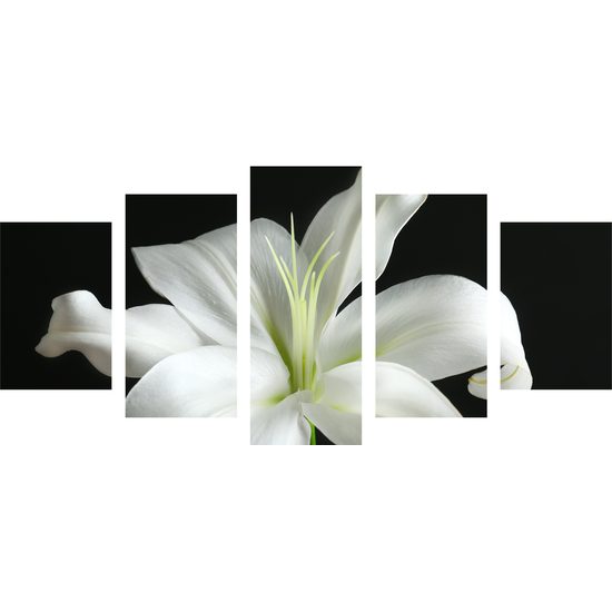 5-dielny obraz dýchberúca biela ľalia