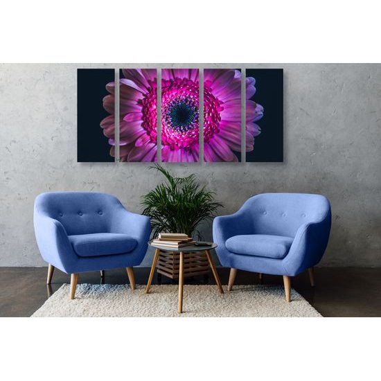 5-dielny obraz detail gerbery