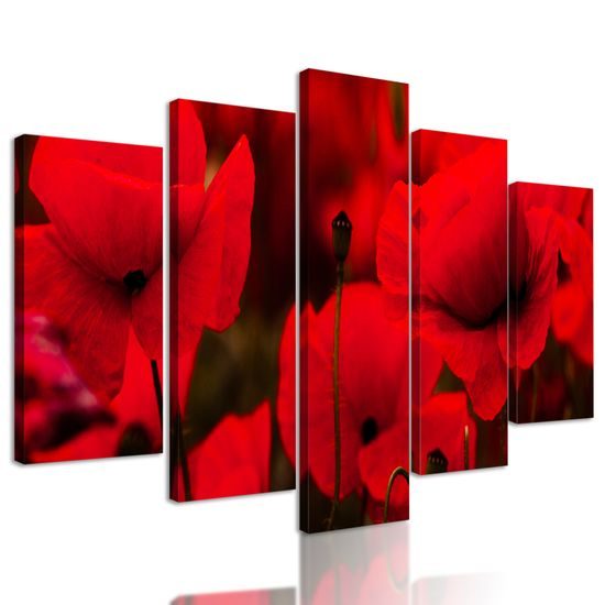 5-dielny obraz jedinečné divé maky