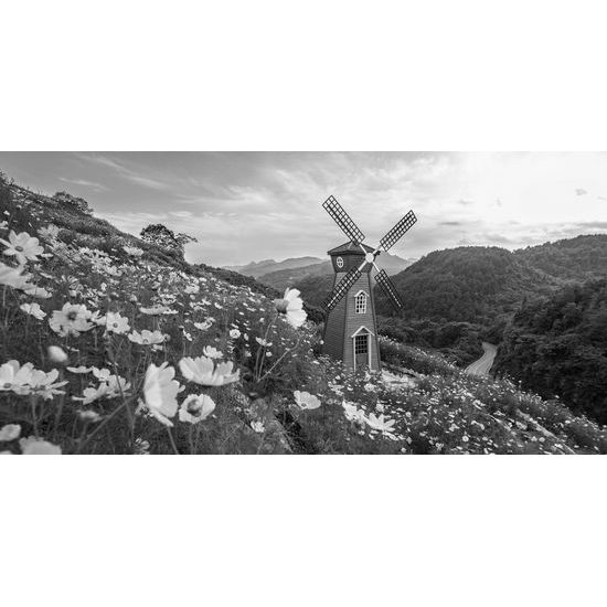 Obraz kúzelná krajina v čirnobielom prevedení