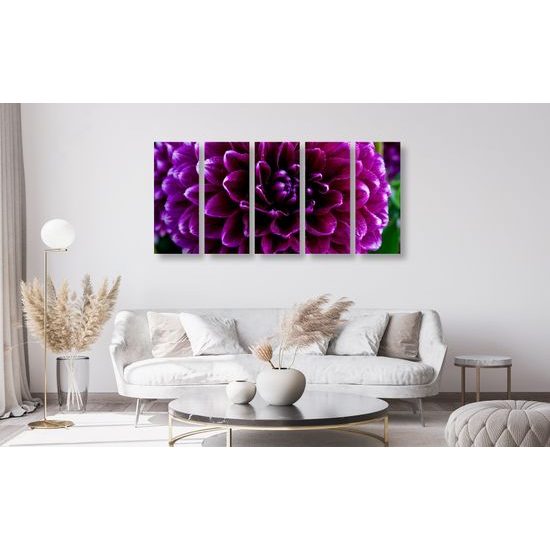 5-dielny obraz ohromný purpurový kvet