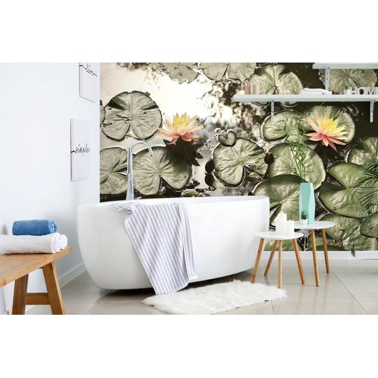 Samolepiaca fototapeta rybník s lotosovými kvetmi