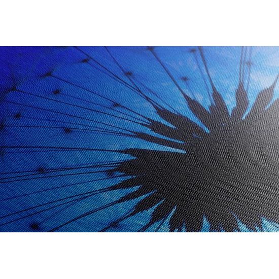 Obraz abstraktná nočná púpava