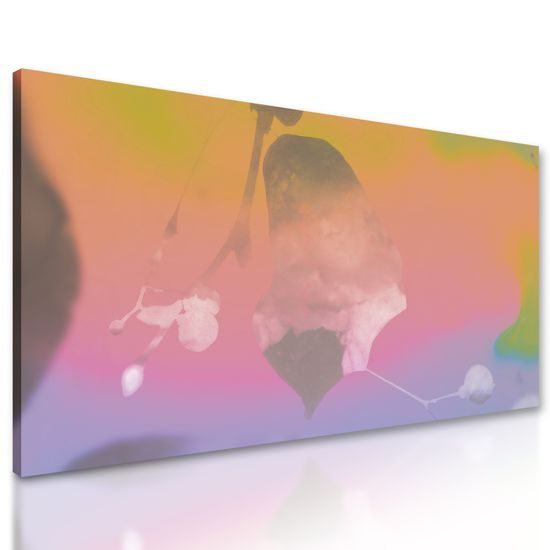 Obraz nádherný list v krásnych farbách