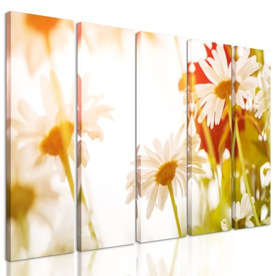 5-dielny obraz kvety na slnečnej lúke
