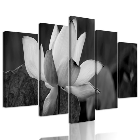 5-dielny obraz nádherny kvet v čiernobielom prevedení