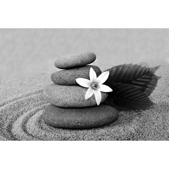 Samolepiaca fototapeta kvet so zen kameňmi v čiernobielom prevedení