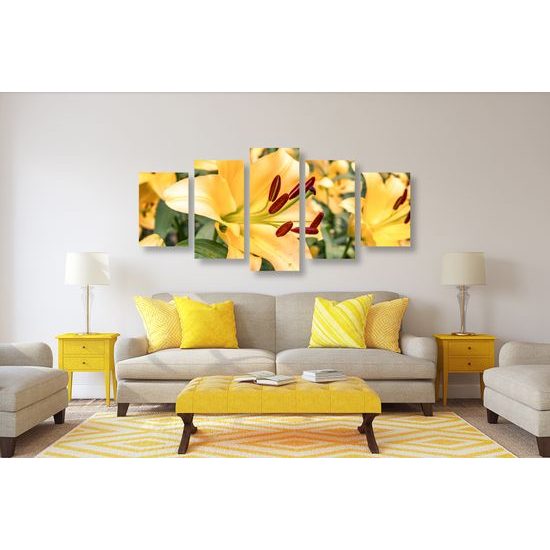 5-dielny obraz nežná žltá ľalia