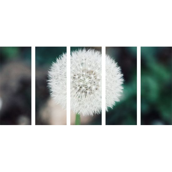 5-dielny obraz dokonalá púpava