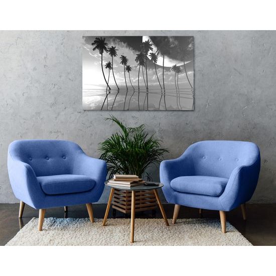 Obraz západ slnka v čiernobielom prevedení