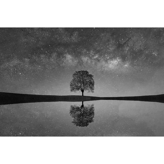 Nádherná čiernobiela samolepiaca fototapeta strom pod oblohou plnou hviezd