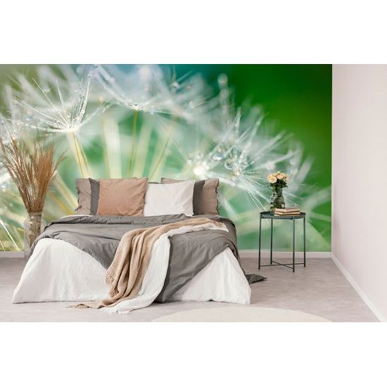 Jedinečná samolepiaca tapeta makro semienka púpavy