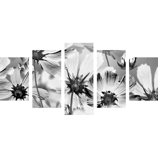 5-dielny obraz záhrada plná rozkvitnutých kvetov v čiernobielom prevedení