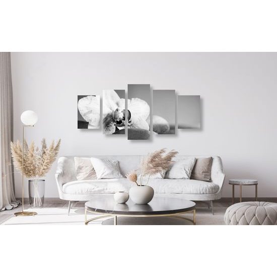 5-dielny obraz zaujímavo sfarbená orchidea a Zen kamene v čiernobielom prevedení